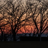夕暮れ