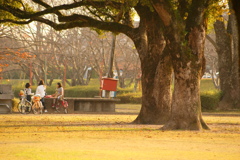 昼下がりの公園