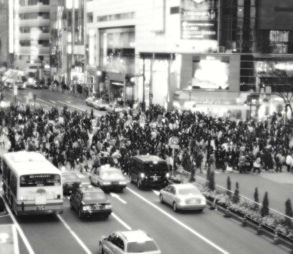 この道の向こうに
