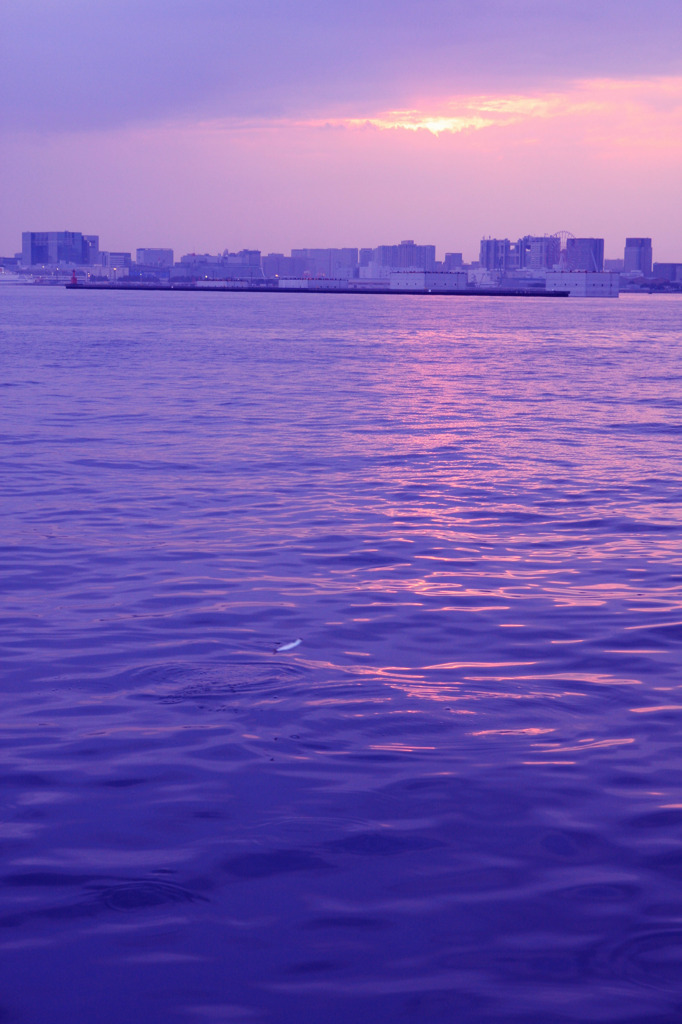 夕日アラワレズ小魚アラワレル。