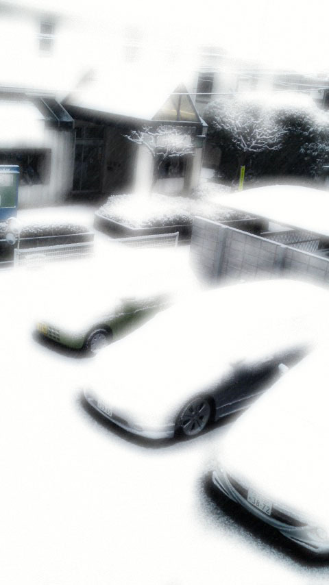 雪の朝は・・・