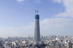 2010年1月30日　スカイツリー　晴天
