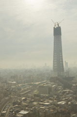 2010年1月21日　スカイツリー　薄曇り