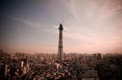 2010-06-03 SKYTREE