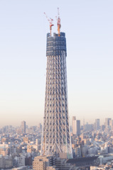 2010年1月15日　スカイツリー　朝