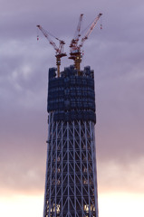 2010年1月7日　スカイツリー　夕景