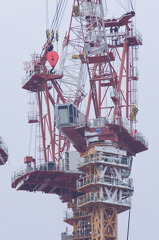 2010年1月30日　スカイツリー　雪景色　タワークレーン