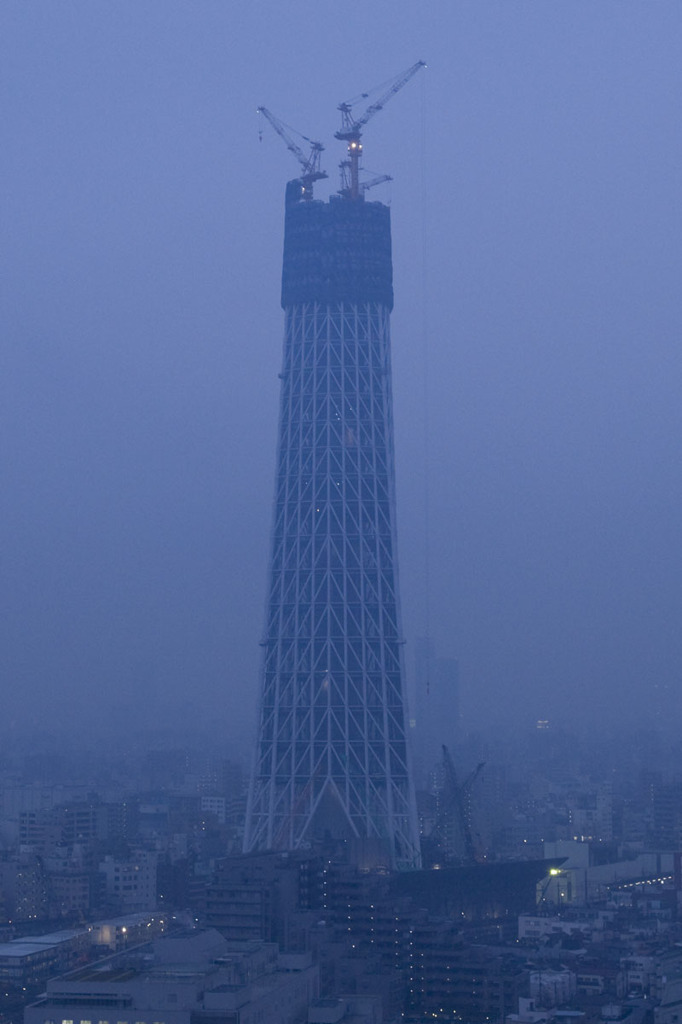 2010年1月12日　スカイツリー　曇天