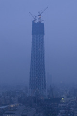 2010年1月12日　スカイツリー　曇天