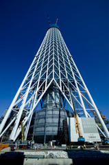 2010年1月30日　スカイツリー　晴天　麓