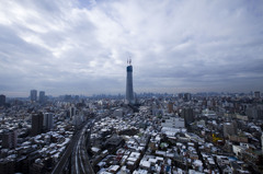 2010年1月30日　スカイツリー　雪景色