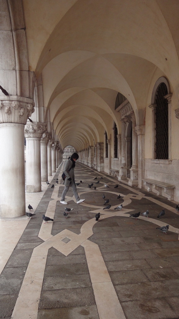 ベニスで鳩を追いかける男