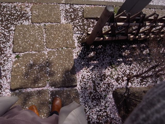 散ってもよし