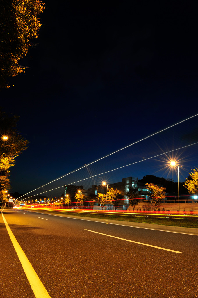 早朝の道路