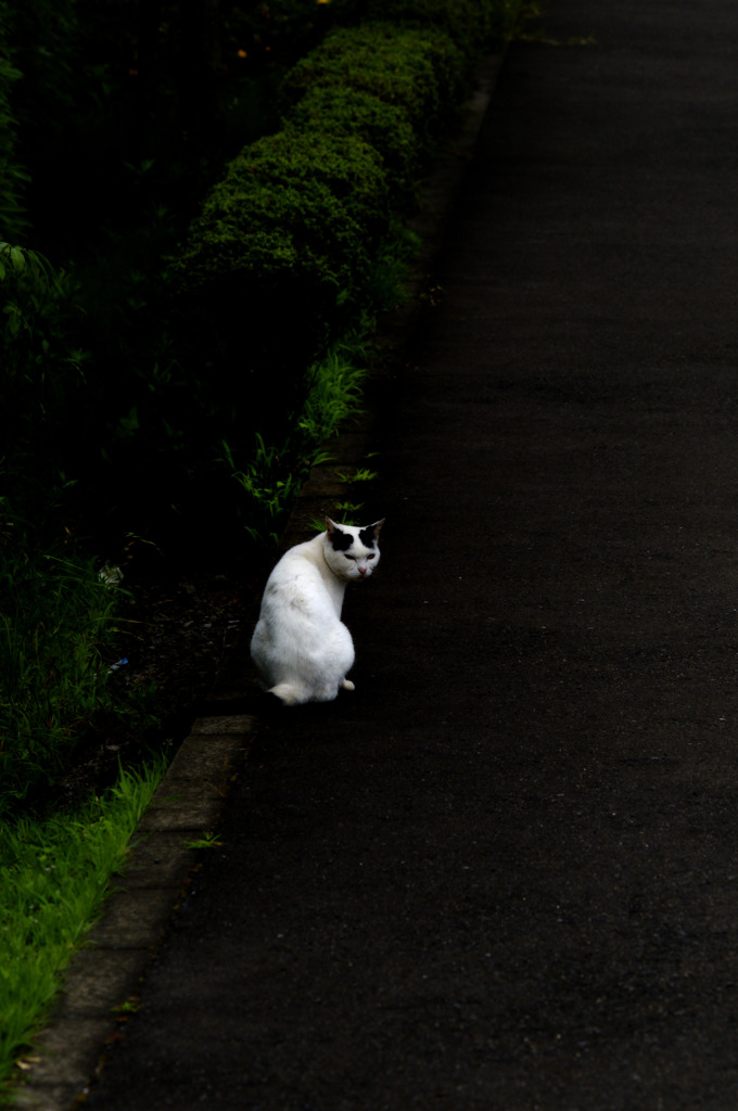 もうじき雨が降るよ。