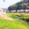 「春を釣る」の巻。