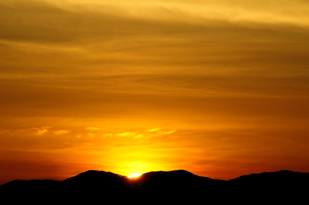 ORANGE　WORLD.