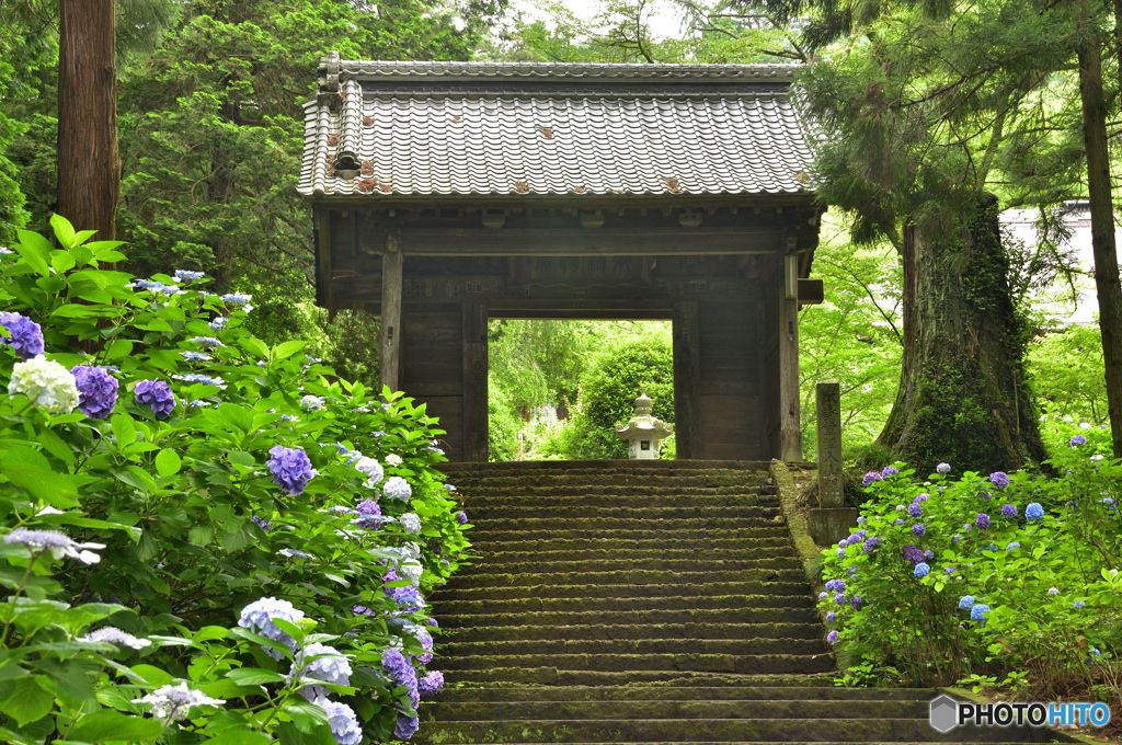 大中寺山門