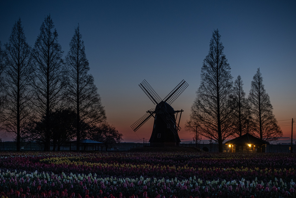 あけぼの山の夜明け前