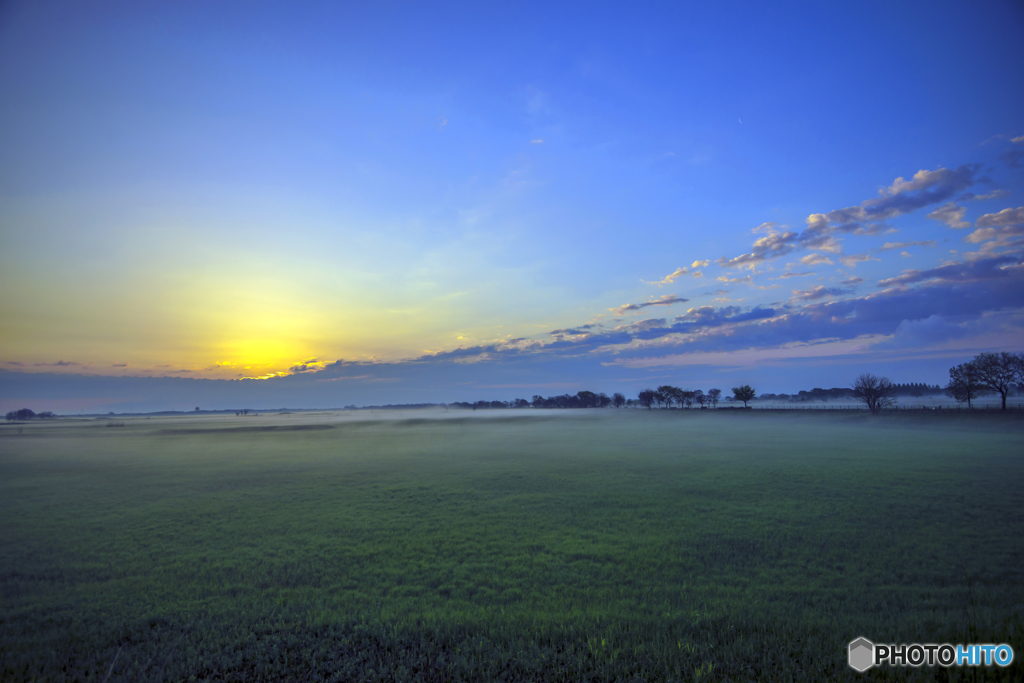 watarase nature Ⅱ　　平原
