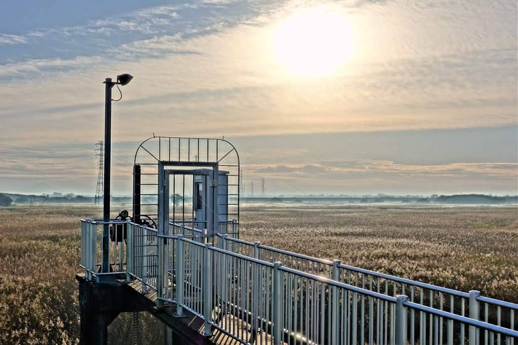 尾花ＨＤＲ