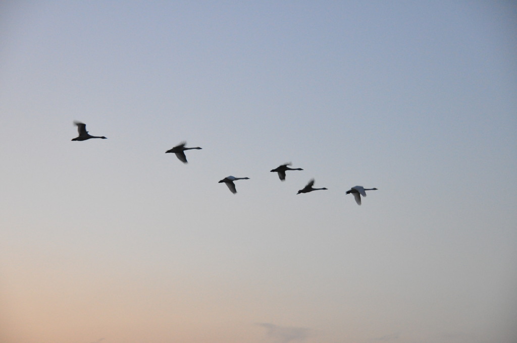 もう少しで休憩