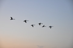 もう少しで休憩