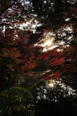逆光