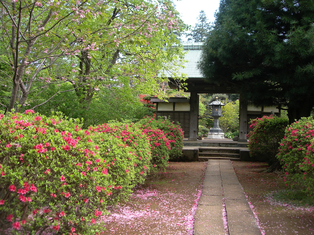 ある寺で