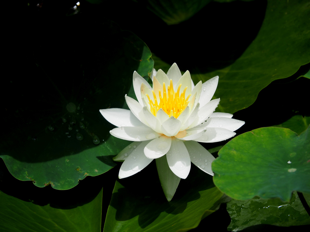 P6210018