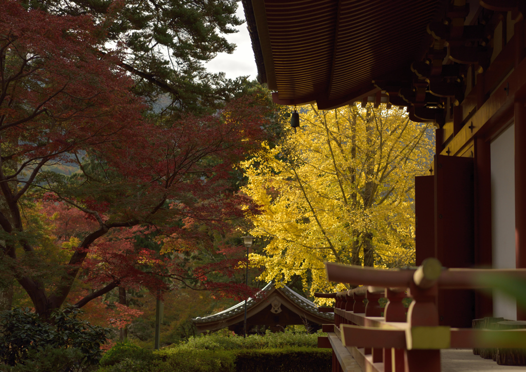 久安寺　紅葉２