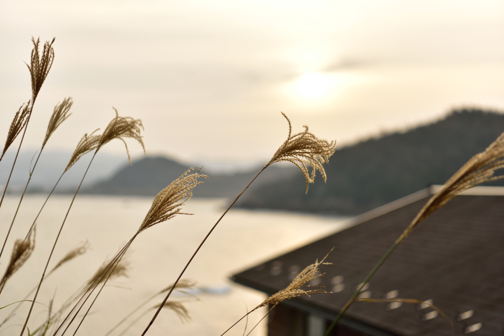 久美浜の朝