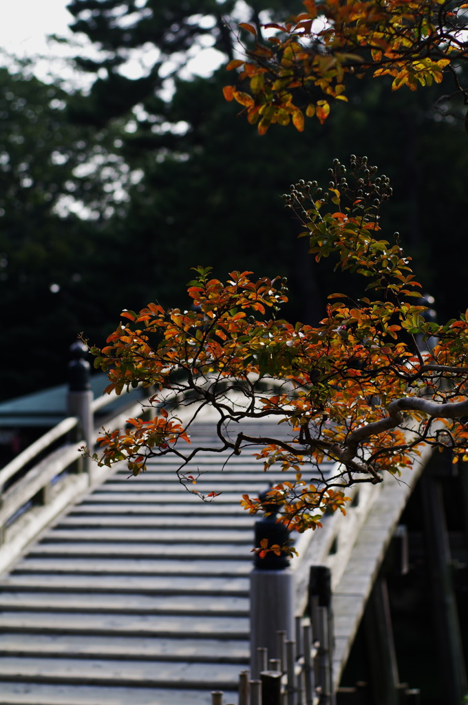 栗林公園