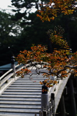 栗林公園