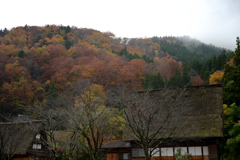 白川郷
