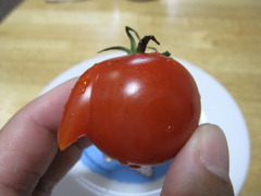 変なトマト
