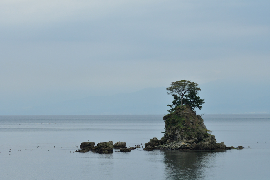 雨晴海岸