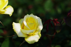 IMGP8857