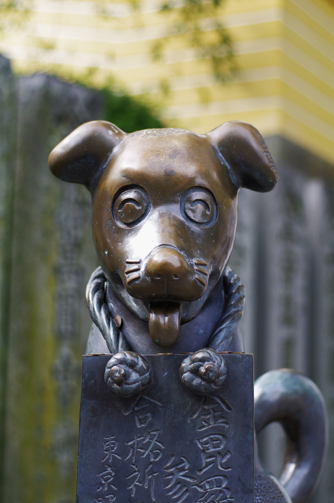 こんぴら狗