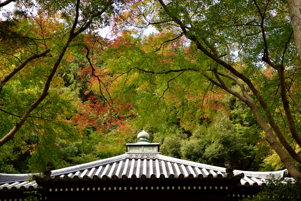 久安寺