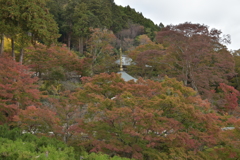 勝尾寺