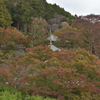 勝尾寺