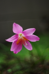 IMGP2870