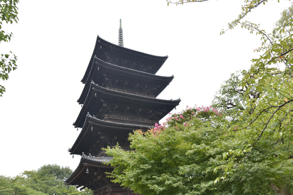 東寺　五重塔