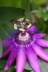 IMGP1408