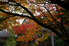 薬王院温泉寺