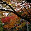 薬王院温泉寺