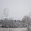 Winter Scene of Michigan003