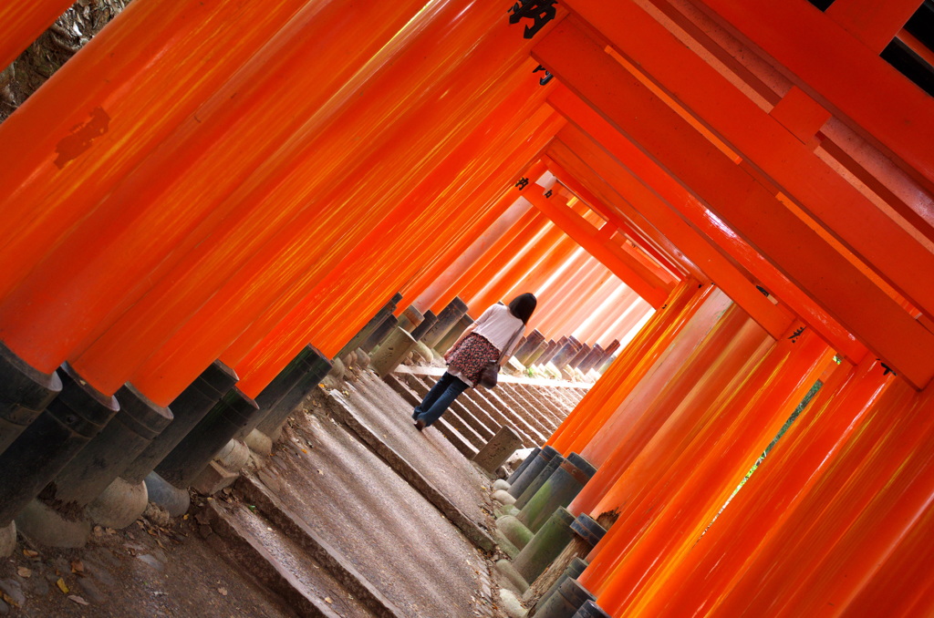 千本鳥居を行く