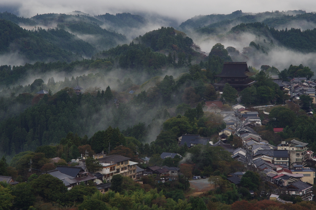 吉野の朝